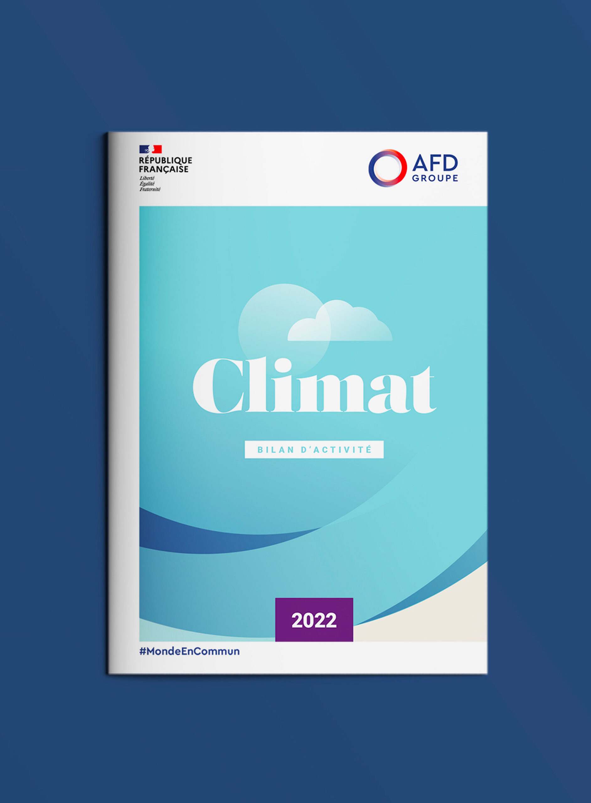 Edition Bilan climat et infographie AFD