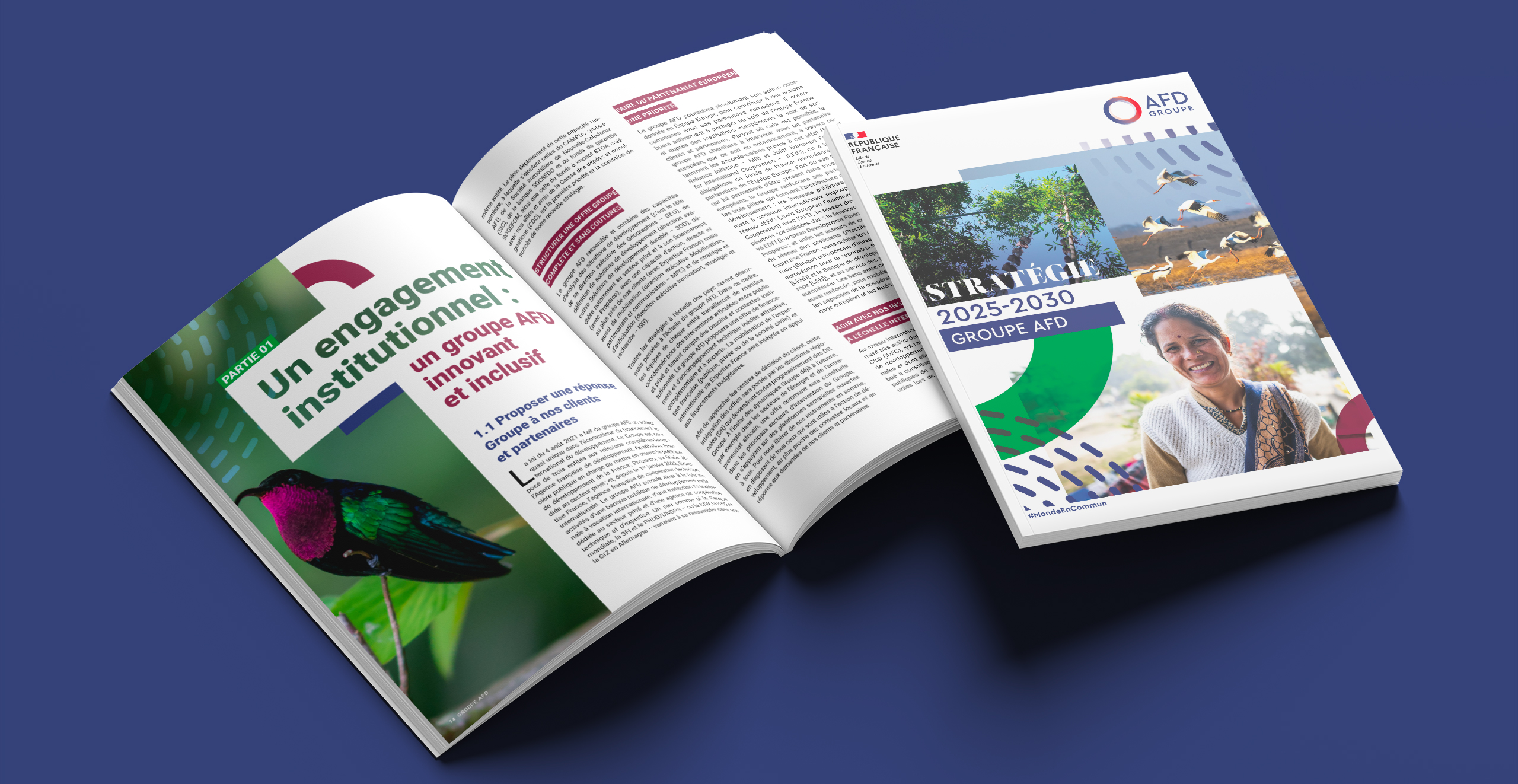 bandeau_afd-strategie-2025-2030